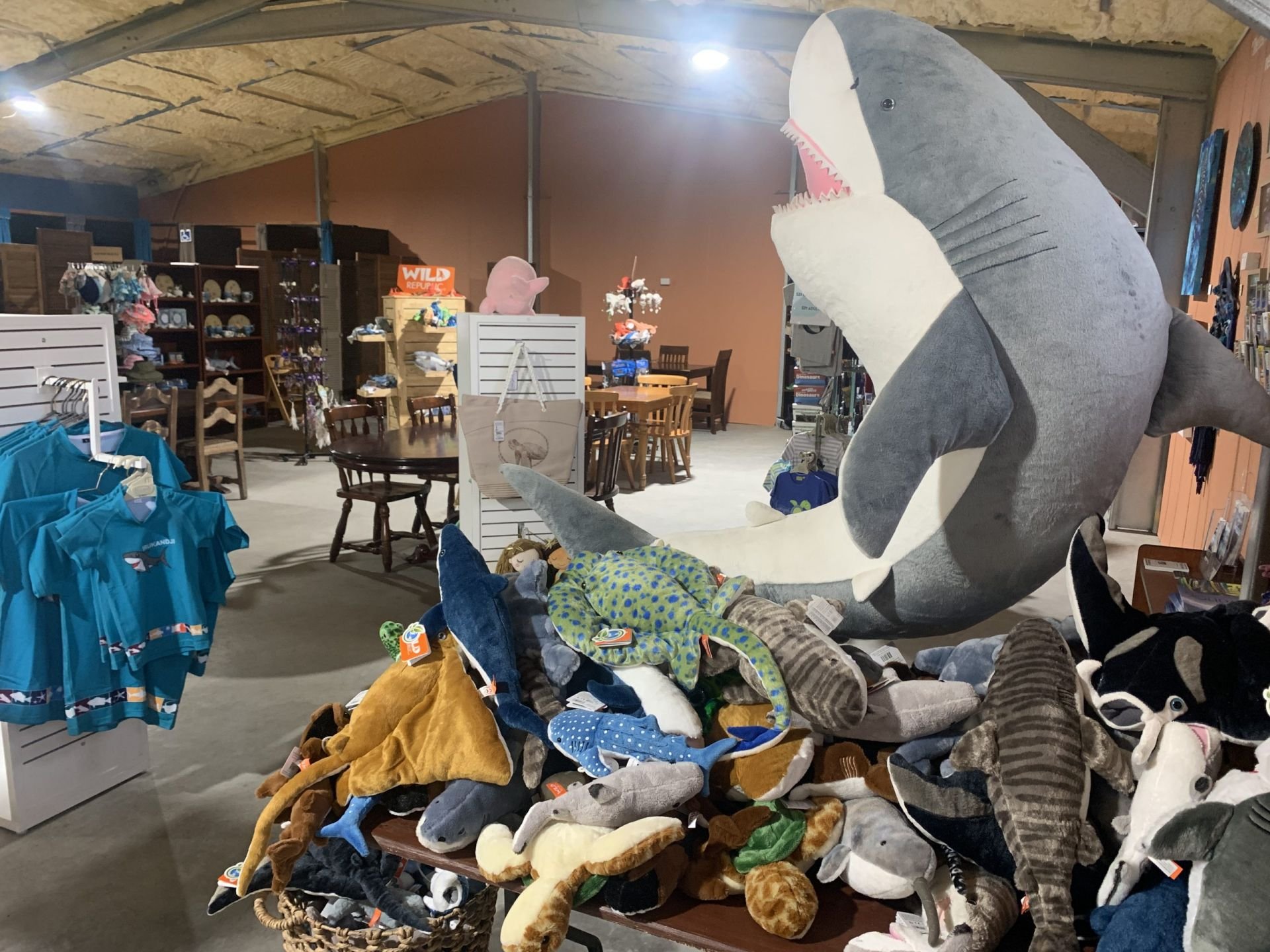 🐬 야생 돌고래 해상공원(이루카 마린 월드) 이미지 4